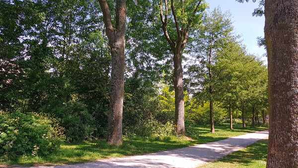 Inrichtingsvoorstel wijksportpark Roomburgerpark 