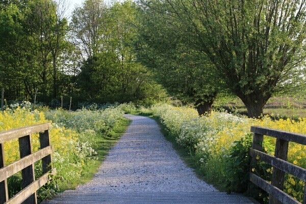 Zomer in Polderpark Cronesteyn, foto: Mirjam Akkerhuis