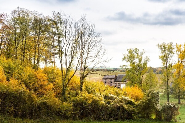 Workshop Landschapsfotografie Herfst