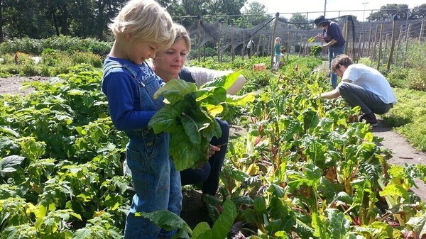 Stichting Leiden Oogst zoekt bestuursleden / Leiden Oogst Foundation is looking for board members