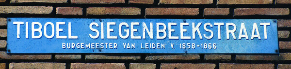 Tiboel Siegenbeekstraat